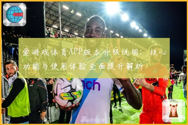 爱游戏体育APP版本升级说明：核心功能与使用体验全面提升解析