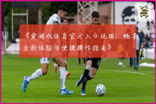 《爱游戏体育官方入口说明：畅享全新体验与便捷操作指南》